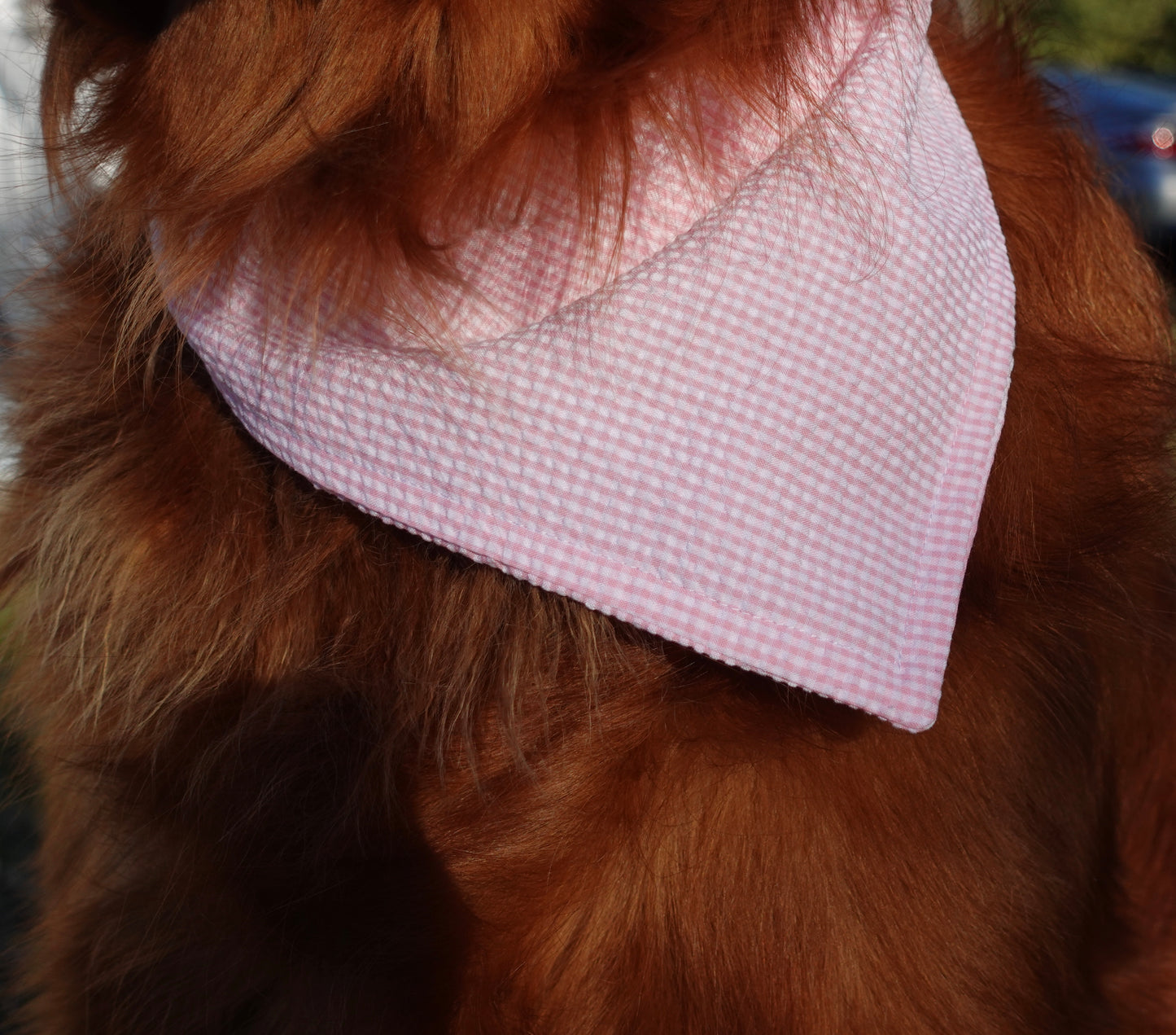 Pink & White Striped Pet Bandana