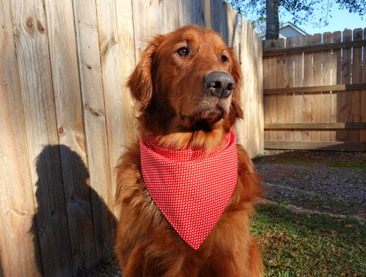 Red & White Hearts Bandana