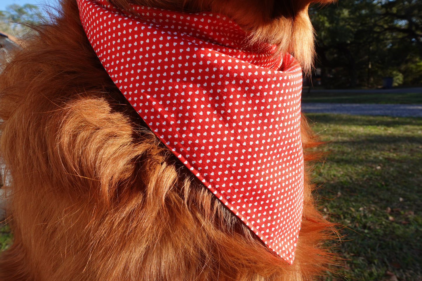 Red & White Hearts Bandana