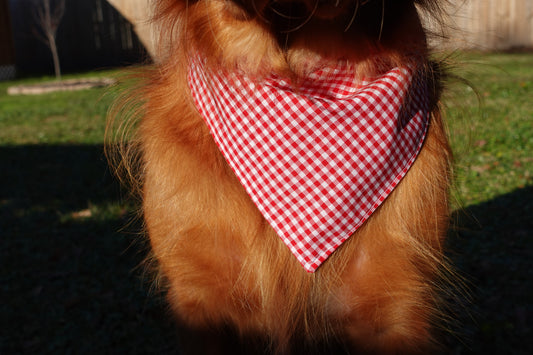 Red Gingham Pet Bandana