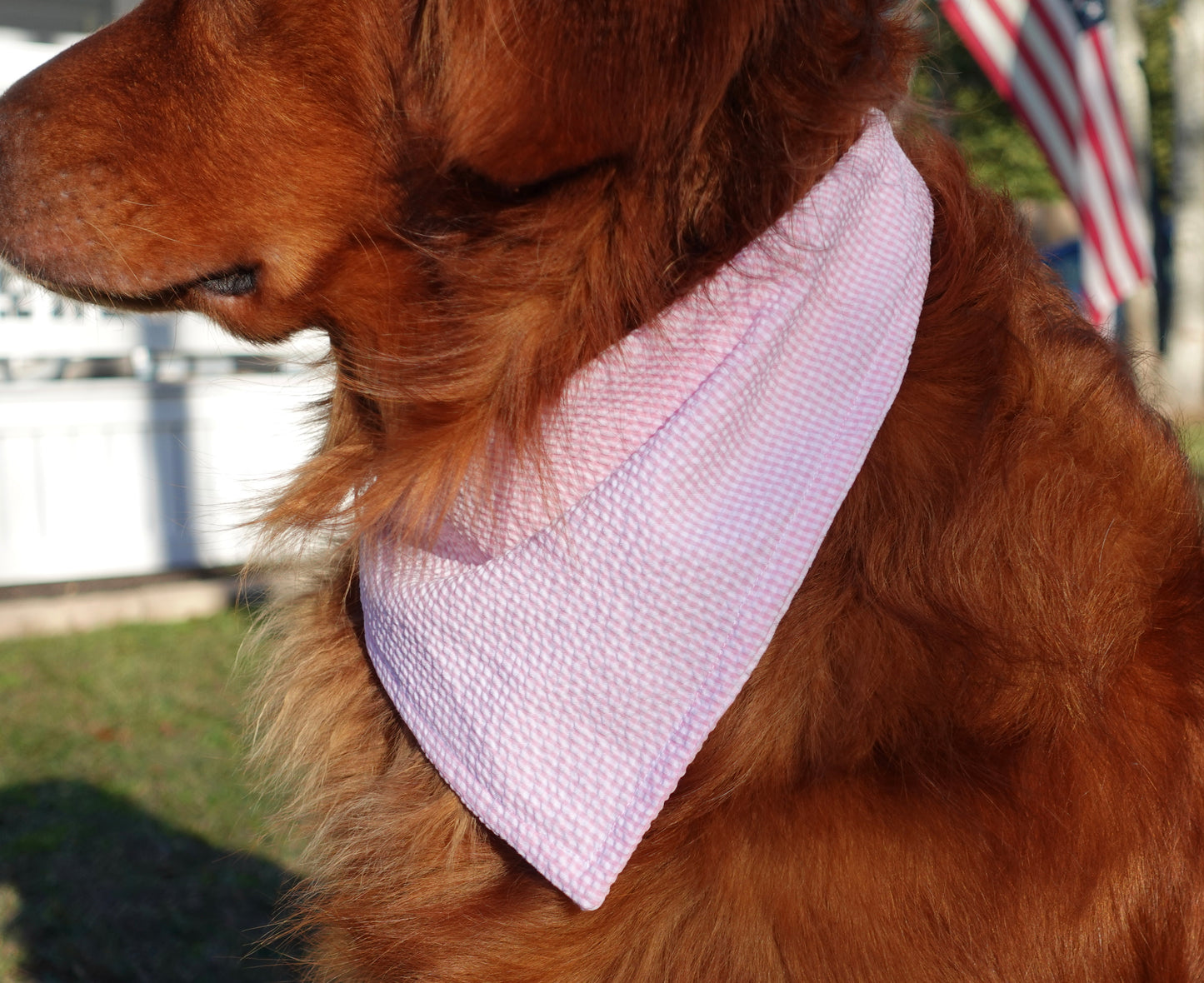 Pink & White Striped Pet Bandana